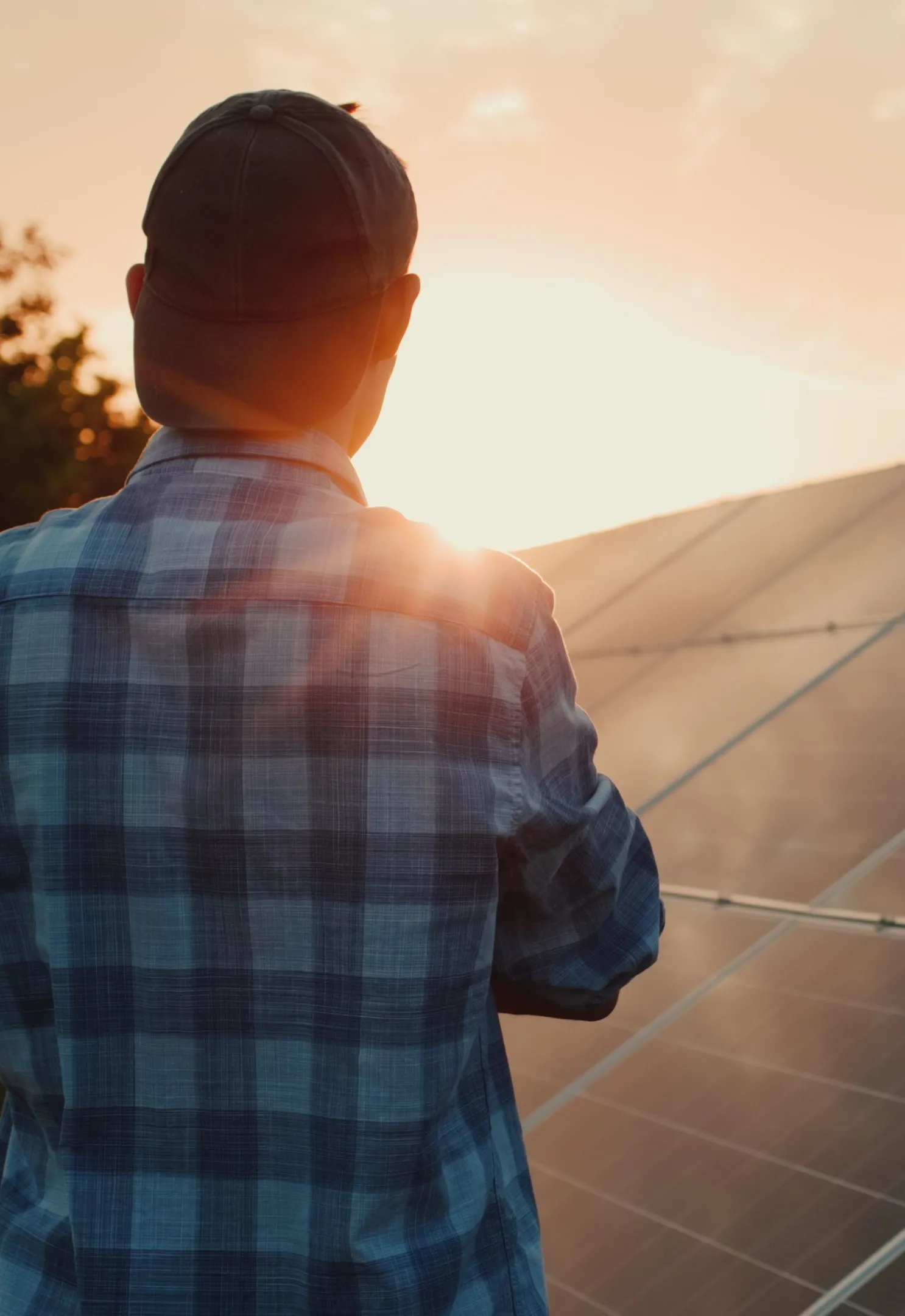 Owner looks at solar power plant panels at sunset